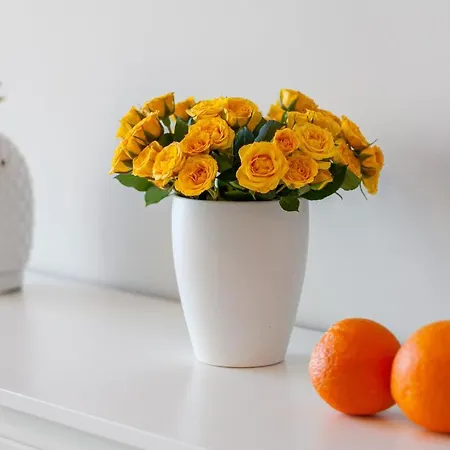 Paradise View Family By Altamarhomes 公寓